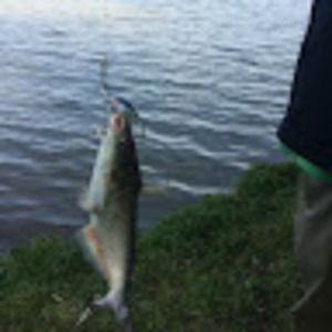 Meet your Posher, Danny